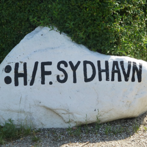 Bestyrelse