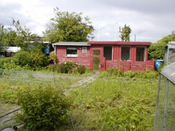 Billeder 2010