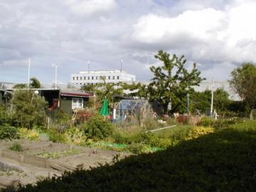 Billeder 2010