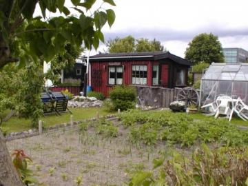 Billeder 2010